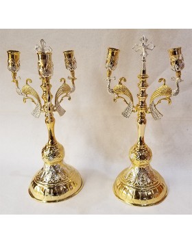 Επισκοπικά Δικηροτρίκηρα 0314004